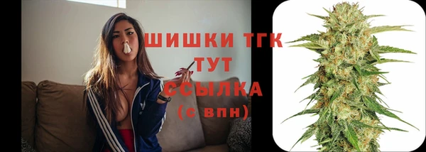 ешки Михайловск