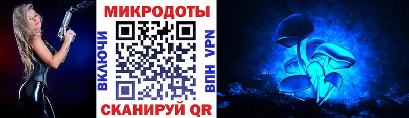 дарнет шоп  Таштагол  Псилоцибиновые грибы Psilocybe 
